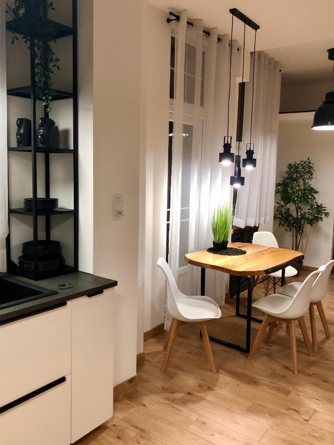 Apartament Loft Apartment Bielsko-Biała Ngoại thất bức ảnh