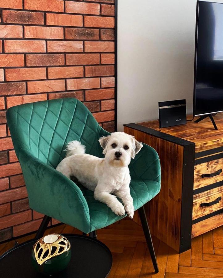 Apartament Loft Apartment Bielsko-Biała Ngoại thất bức ảnh