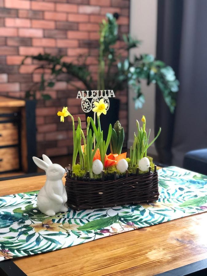 Apartament Loft Apartment Bielsko-Biała Ngoại thất bức ảnh